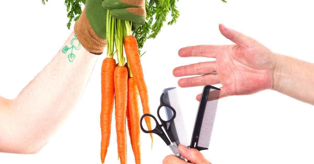 Bartering carrots for haircut