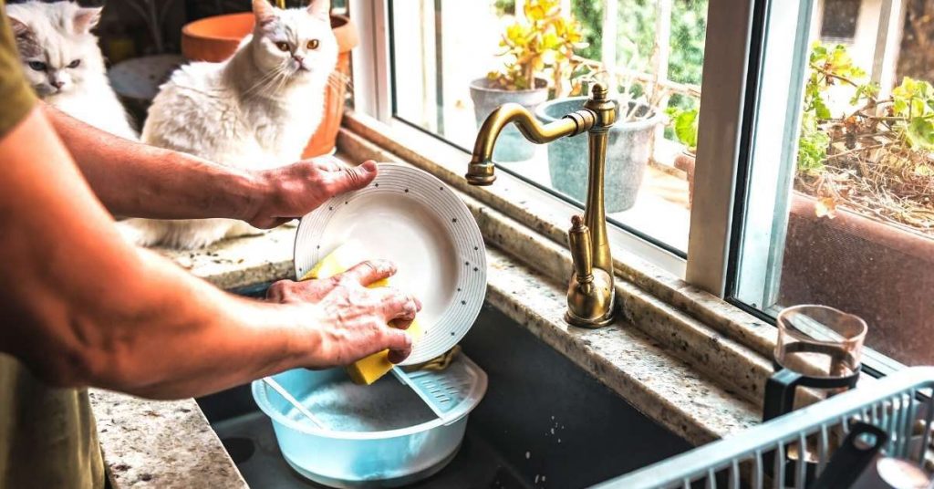 Handwashing dishes in sink with cats watching